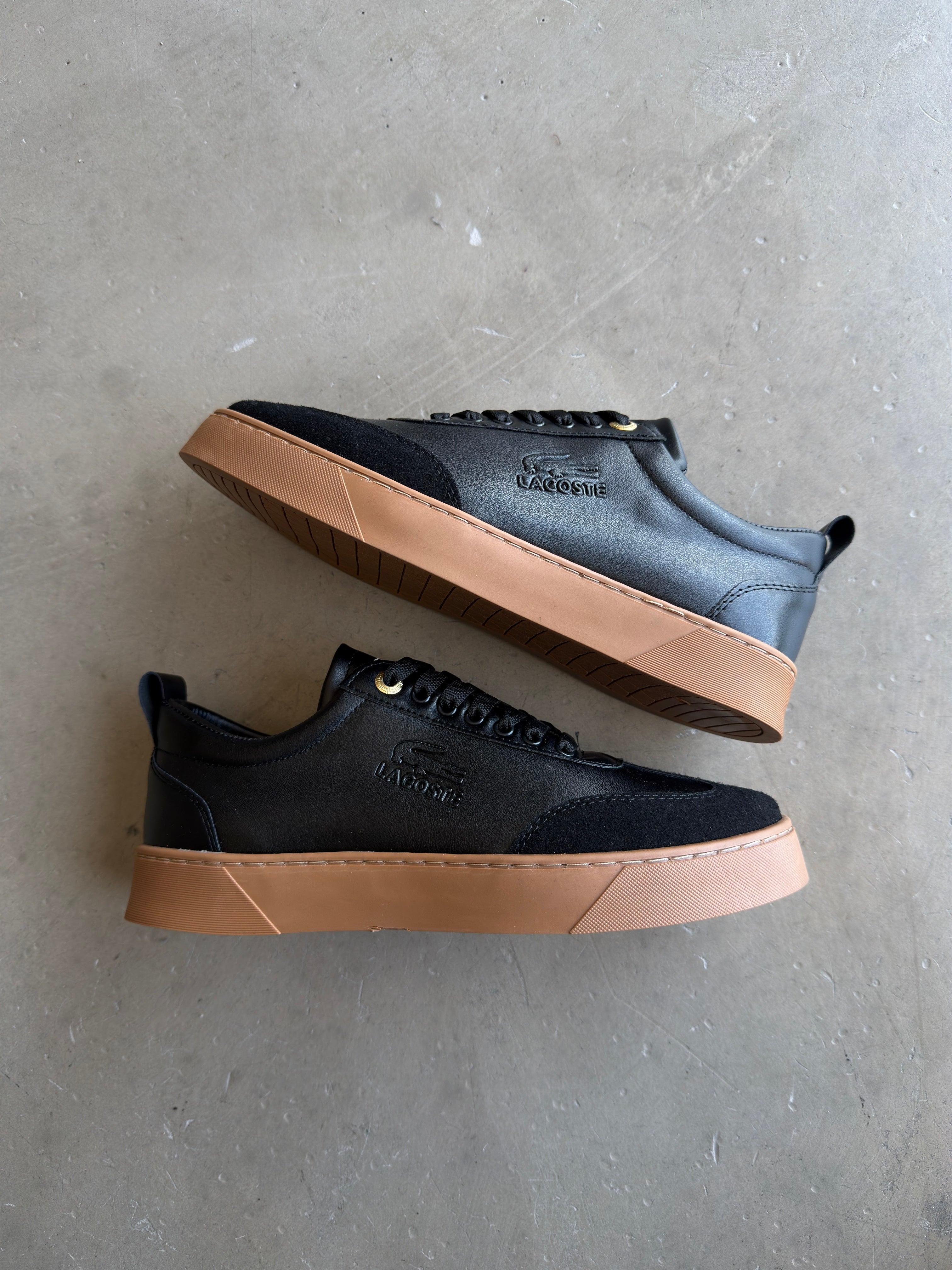 Lacoste Siyah Taba